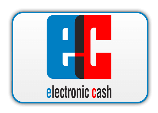 Electronic Cash Icon